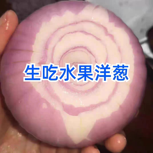 水果洋葱新鲜果蔬甜味