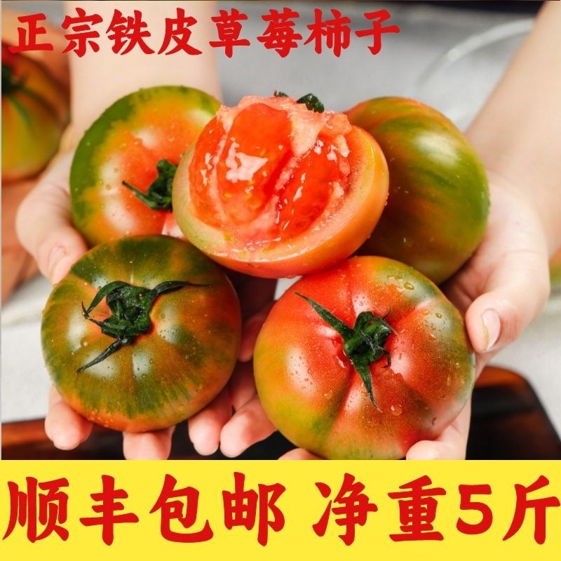 顺丰包邮东北铁皮番茄丹东草莓柿子碱地新鲜水果盘锦西红柿子生吃,水产肉类/新鲜蔬果/熟食,番茄,淘宝优惠券,粉丝福利购,淘宝优惠卷