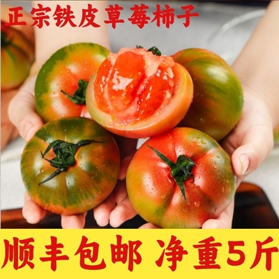 顺丰包邮东北铁皮番茄丹东草莓柿子碱地新鲜水果盘锦西红柿子生吃