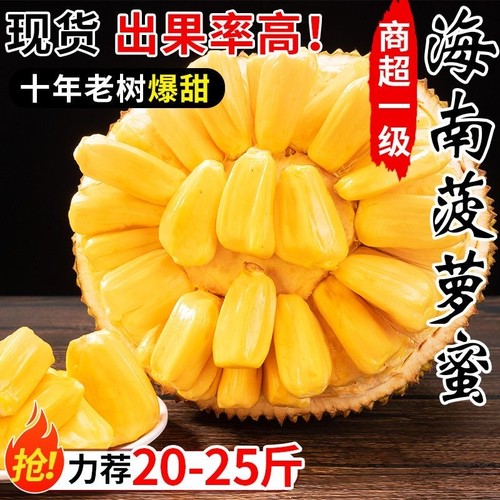 现摘发货海南菠萝蜜黄肉新鲜水果脆甜菠萝蜜剥皮整个干苞批发