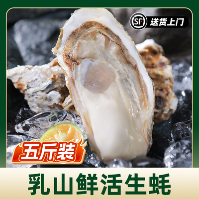 鲜活乳山生蚝5斤带箱牡蛎海蛎子特大海鲜批发商用大号品质蚝王