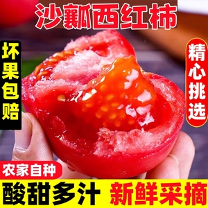 农家现摘露天沙瓤西红柿新鲜普罗旺斯农家生吃水果番茄5