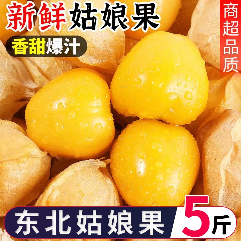 东北大姑娘果灯笼果小姑娘果黄金豆洋姑娘菇娘果新鲜水果当季整箱