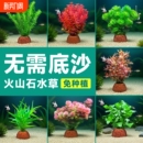 火山石水草植物鱼缸造景水培阴性蜈蚣草绿菊真草摆件水族箱全套餐