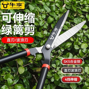 牛享强力园艺剪家用修剪草坪花草剪绿篱剪粗枝大剪刀修剪树枝神器