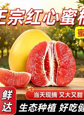 广西正宗红心蜜柚子当季新鲜水果
