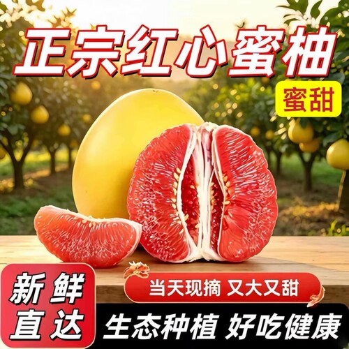 正宗红心蜜柚当季|超3000次加购