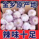 山东紫白皮大蒜头批发干蒜特大蒜新大蒜优质新鲜大蒜批量好货