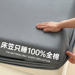 床单床垫套罩四季 纯色全棉床笠罩单件纯棉加厚床罩2025年新款 通用