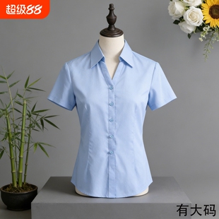 气质职业白色衬衫女短袖OL公务员大码工装工作服面试免烫正装衬衣