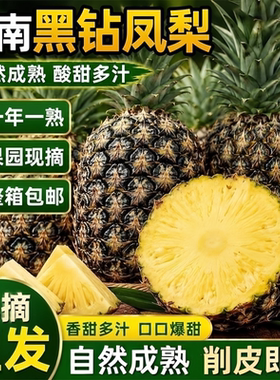 云南黑钻凤梨9斤树上熟当季新鲜水果非菠萝削皮即食大果自然熟