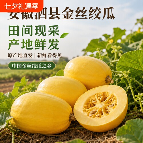 好念头安徽泗县金丝绞瓜特产新鲜即食蔬菜正宗应季源头凉拌