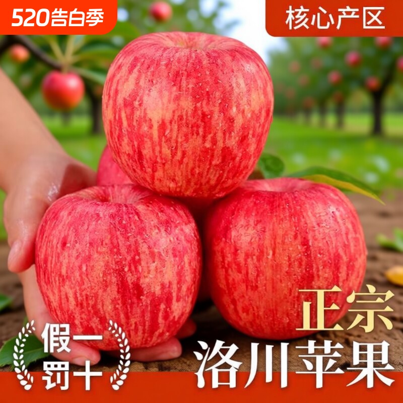 陕西洛川红富士苹果水果新鲜当季水果冰糖心苹果整箱批发大果脆甜
