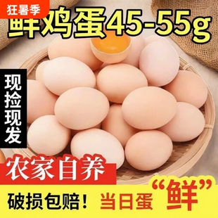 正宗深山林地散养土鸡蛋杂粮喂养柴鸡蛋孕妇儿童营养鲜蛋40g