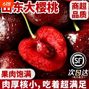 山东烟台  美早大樱桃国产车厘子新鲜水果现摘烟台特大整箱