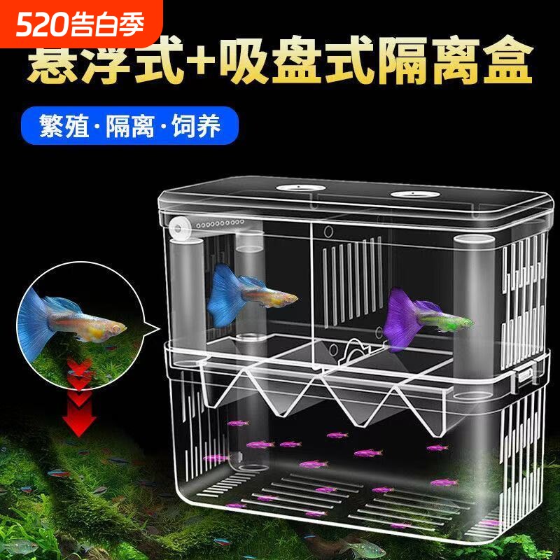 孔雀鱼缸隔离孵化盒小鱼苗悬浮母鱼繁殖神器亚克力孵化幼鱼凤尾