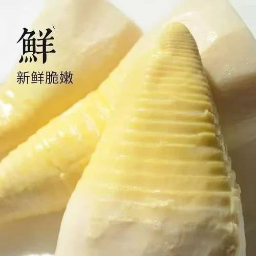 江西野山冬笋新鲜竹笋特产真空水煮冬笋清水冬笋火锅批发食材整箱