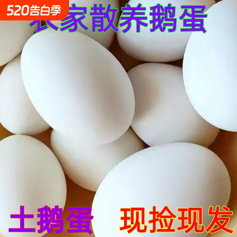 农家散养土鹅蛋新鲜生态鹅蛋现捡现发孕妇宝宝大鹅蛋营养健康