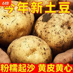 土豆农家自种马铃薯新鲜蔬菜面土豆黄心黄麻子土豆5斤包邮