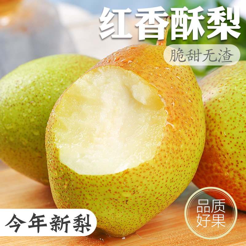 陕西红香酥梨梨子新鲜水果当应季整箱香梨包邮应季青雪酥梨现季
