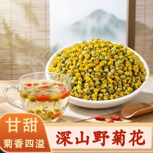 广西野菊花中药材野生小野菊花胎菊苦干米菊天然正品菊花茶泡水喝