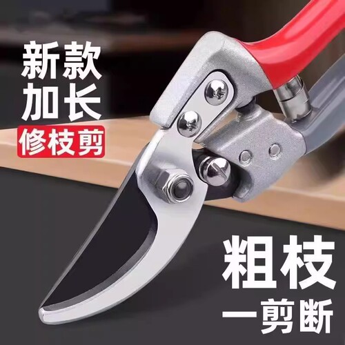 【园艺师推荐】园艺果树修枝剪