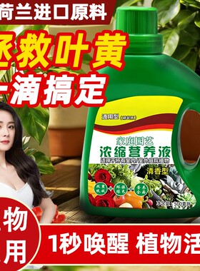 植物绿植营养液富贵竹通用型绿萝发财树多肉水培养花卉盆栽花肥料