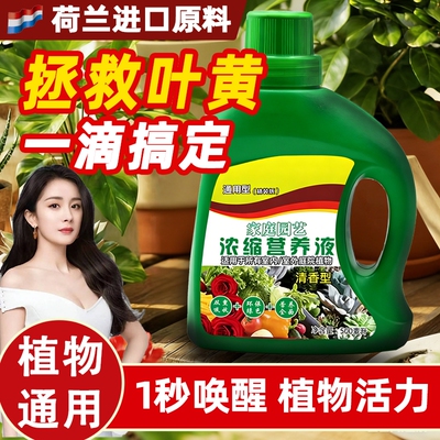 营养液植物通用型绿萝富贵竹发财树多肉水培养花卉绿植盆栽花肥料