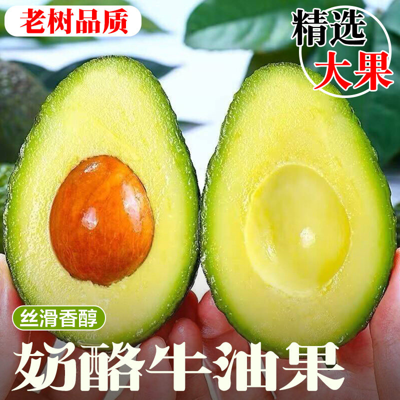 哈斯奶油牛油果大果新鲜水果当季整箱包邮一级鳄梨孕妇宝宝辅食