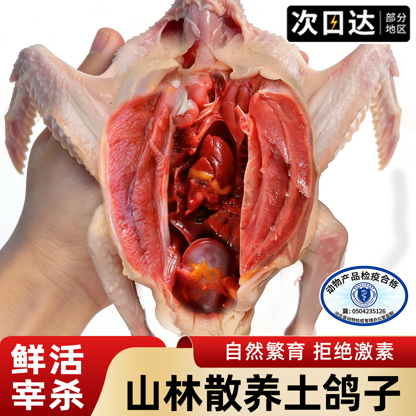 鸽子肉新鲜现杀山林散养孕产妇炖汤有营养生鲜鲜活土鸽子乳鸽鸽子,水产肉类/新鲜蔬果/熟食,乳鸽,淘宝优惠券,粉丝福利购,淘宝优惠卷