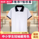 校服上衣纯棉 中大童白色藏青翻领polo衫 T恤夏季 中小学生校服短袖