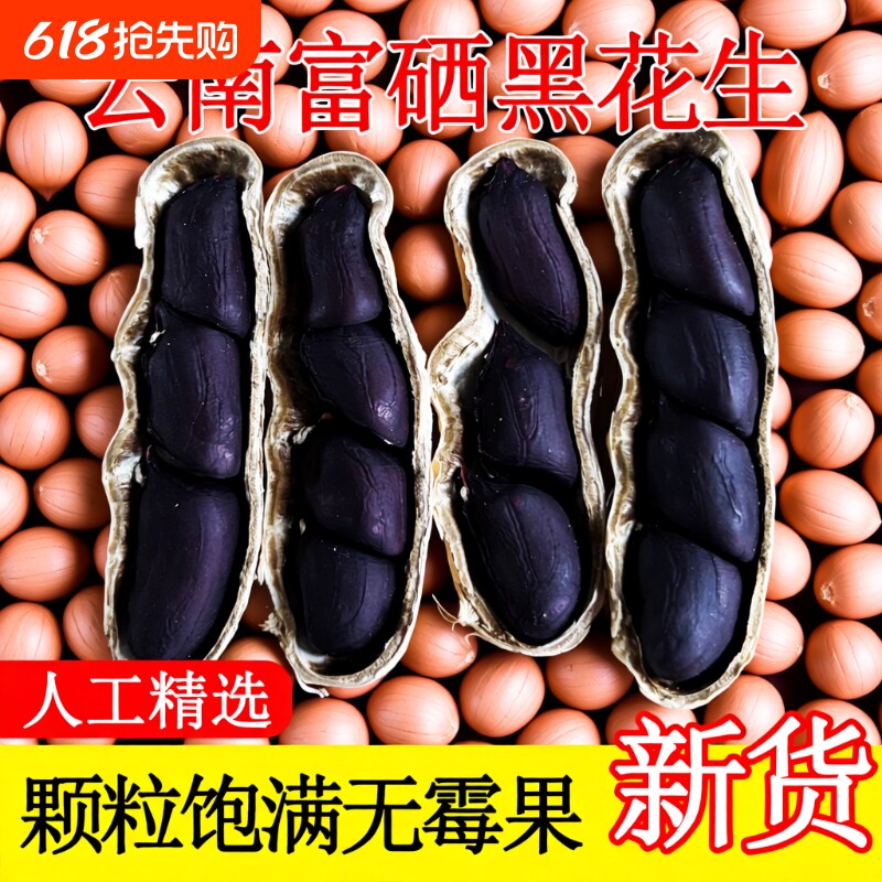 云南富硒黑花生带壳甜小粒黑皮花生普洱特产2025新货黑皮花生