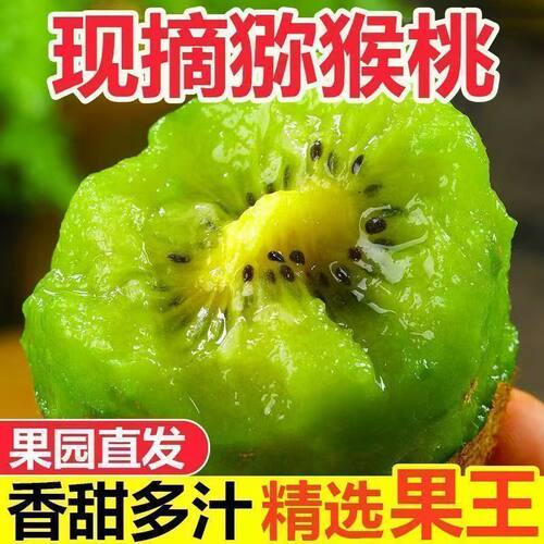 陕西徐香猕猴桃奇异果眉县新鲜水果应当季孕妇水果猕猴桃整箱