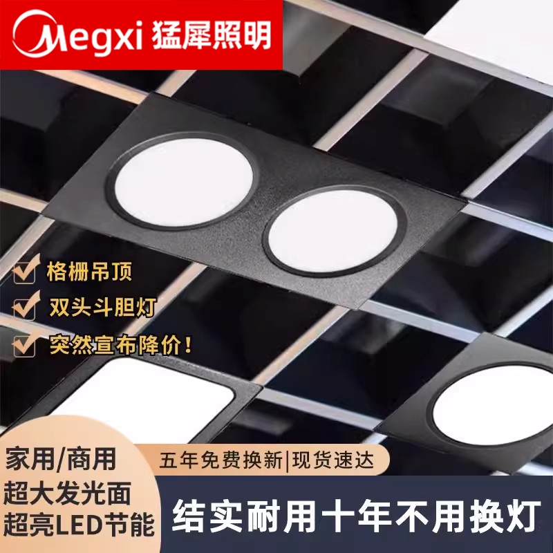 LED格栅灯嵌入式双头筒灯射灯单头斗胆灯网格吊顶灯商用吸顶灯