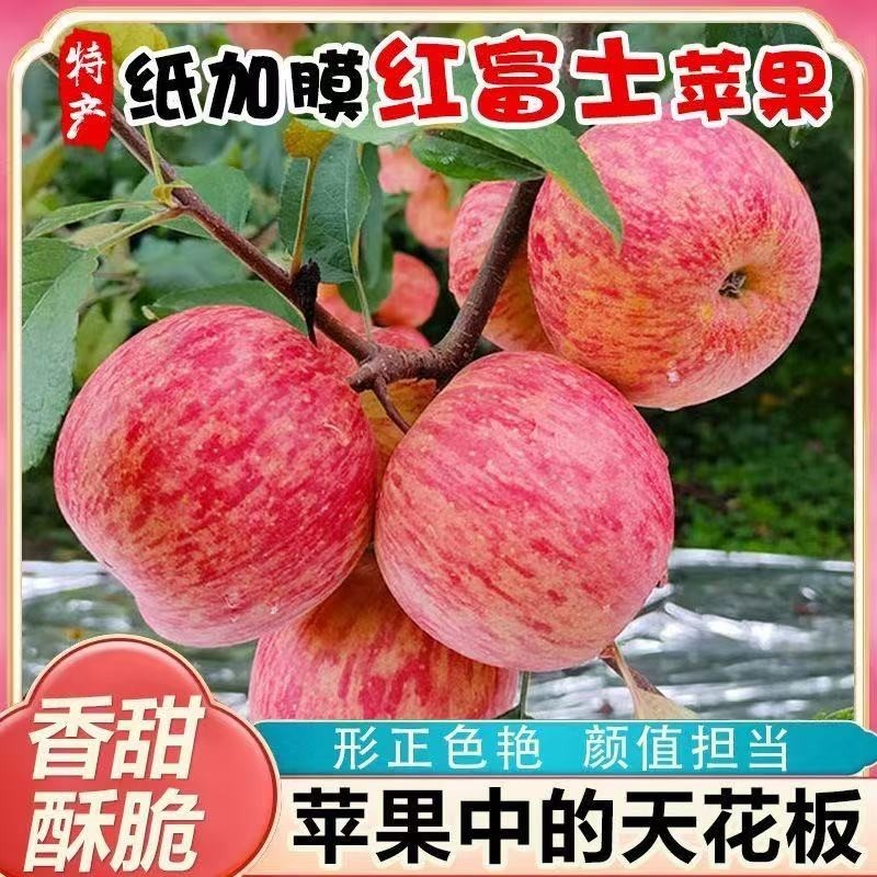 山西纸加膜红富士苹果水果新鲜冰糖心丑当季脆甜整箱孕妇批发多汁,水产肉类/新鲜蔬果/熟食,苹果,淘宝优惠券,粉丝福利购,淘宝优惠卷