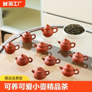 可养可爱小壶精品茶玩水迷你茶壶茶宠摆件指尖壶把把壶配件紫砂