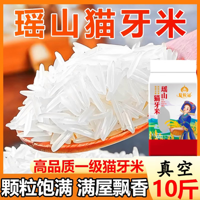 正宗瑶山猫牙米高品质细长丝苗米广西原生态长粒香米南方优质大米
