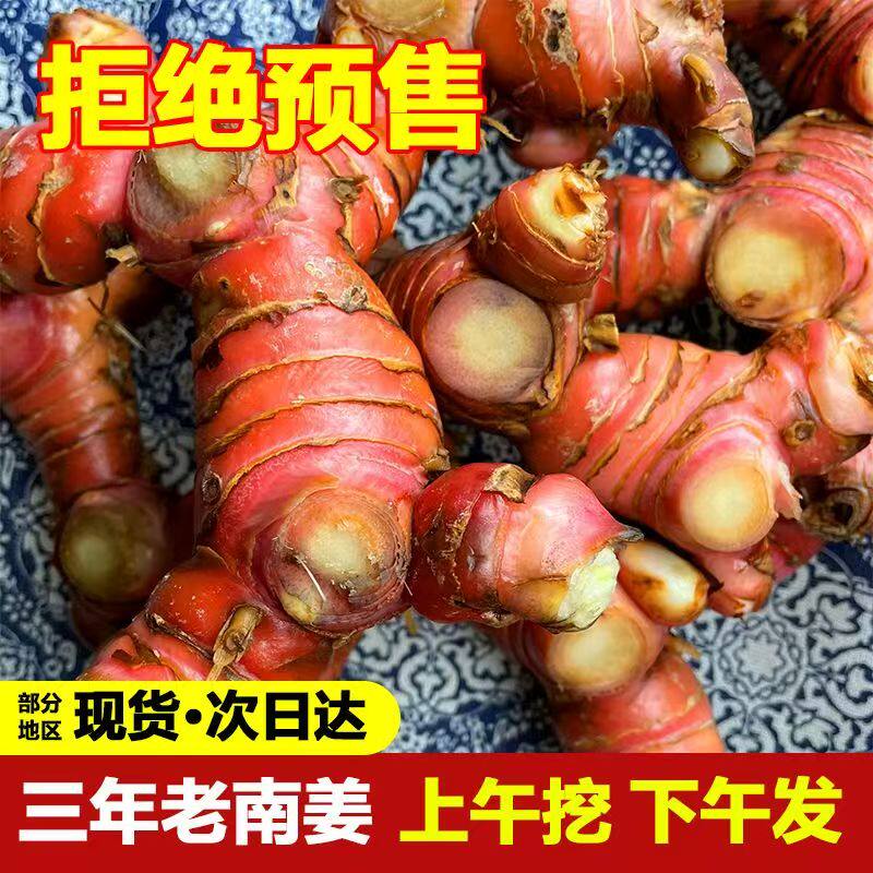 正宗潮汕南姜新鲜山姜良姜红皮白现挖生姜南姜新鲜南姜三年老南姜