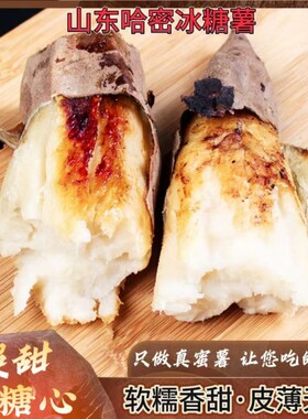 山东冰糖薯新鲜红薯沙地番薯