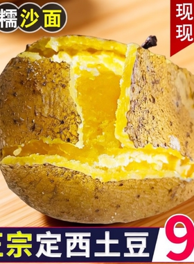 甘肃定西土豆洋芋新鲜现挖甘肃土豆马铃薯农家种净重5斤9斤高淀粉
