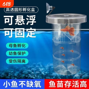 鱼缸隔离盒孔雀鱼繁殖盒凤尾斑马小鱼缸生鱼产卵孵化悬浮幼鱼漂浮