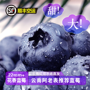 高山25花香吃新鲜水果 顺丰EMS空运云南头茬现摘蓝莓鲜果当季