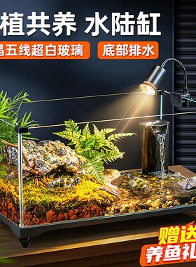 乌龟饲养缸生态造景家用玻璃鱼缸