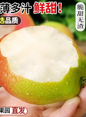 正宗香梨当季新鲜水果一整箱梨子脆甜山西红香酥梨青脆甜包邮