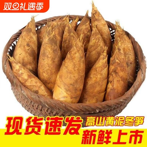 2025现货野生新鲜冬笋竹笋现挖现发江西毛竹笋黄泥拱楠竹笋