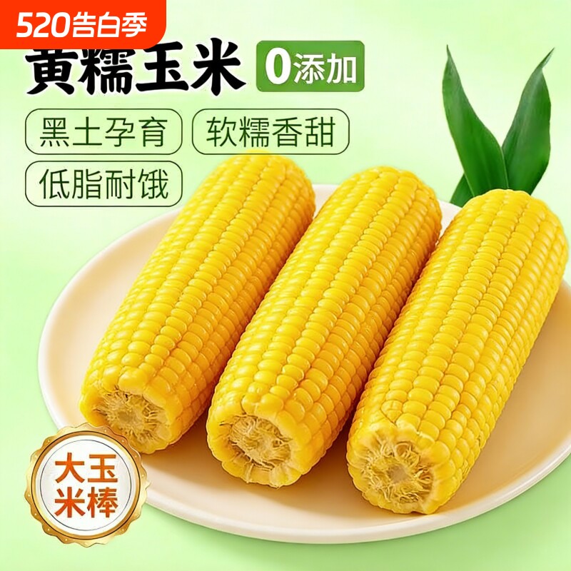 东北玉米新鲜真空包装糯玉米棒早餐加热即食非转基因粗粮香甜鲜香