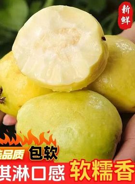 白心芭乐软糯软心芭乐3斤水果当季奶软白番石榴油应季新鲜巴乐果