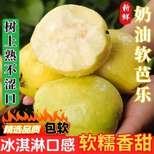 白心芭乐软糯软心芭乐3斤水果当季奶软白番石榴油应季新鲜巴乐果