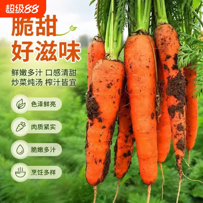 山东胡萝卜新鲜蔬菜应季蔬菜带泥农家自种产地直发可生食9斤包邮