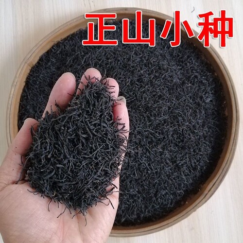 正山小种红茶正宗特级浓香型武夷山养胃红茶叶奶茶专用自饮装新茶
